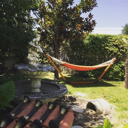 SantʼEufemia Lamezia B&B Villa Dei Fiori מראה חיצוני תמונה