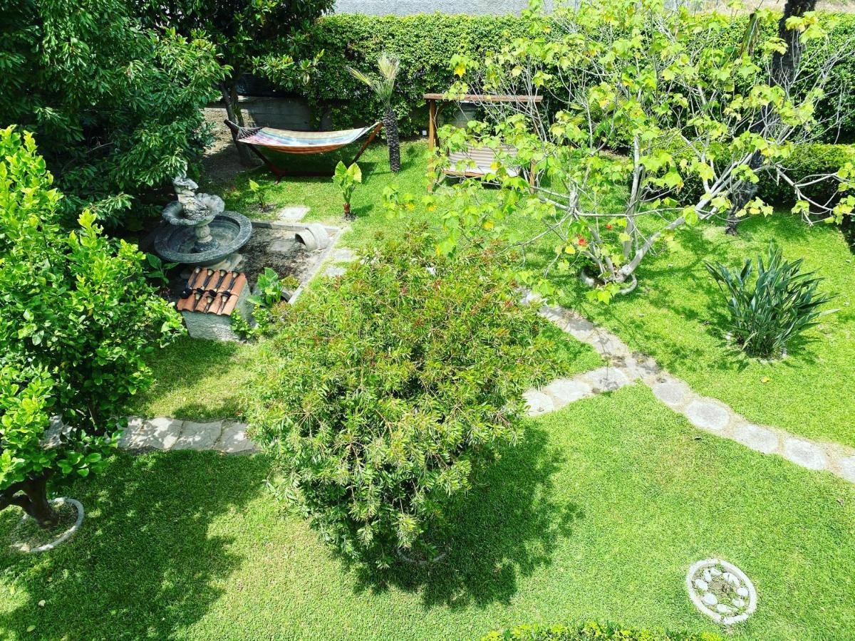 SantʼEufemia Lamezia B&B Villa Dei Fiori מראה חיצוני תמונה