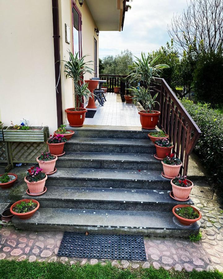 SantʼEufemia Lamezia B&B Villa Dei Fiori מראה חיצוני תמונה