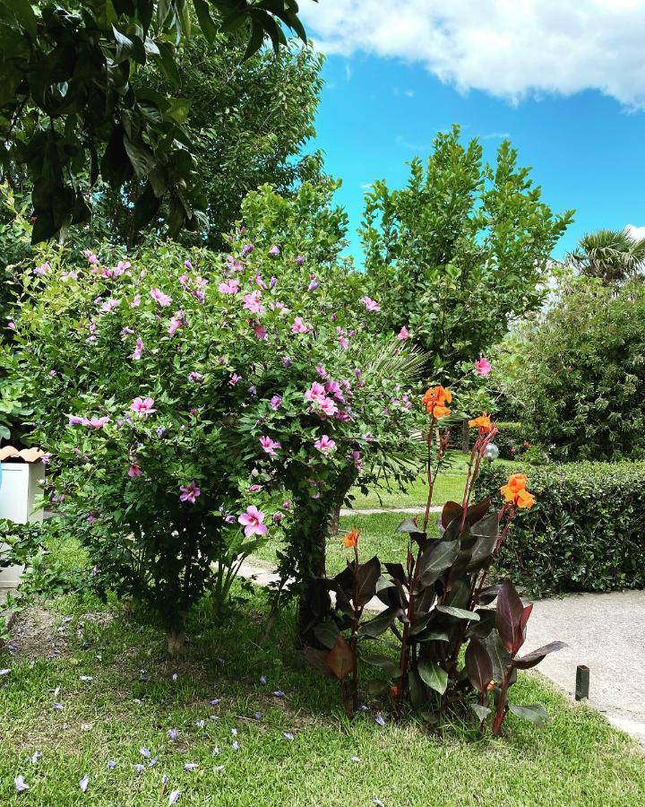 SantʼEufemia Lamezia B&B Villa Dei Fiori מראה חיצוני תמונה