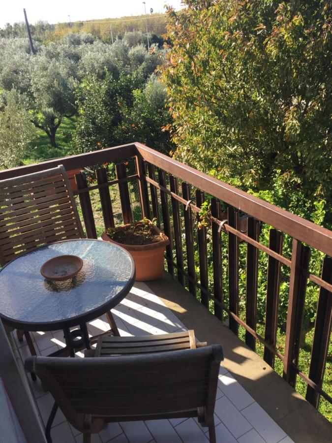 SantʼEufemia Lamezia B&B Villa Dei Fiori מראה חיצוני תמונה